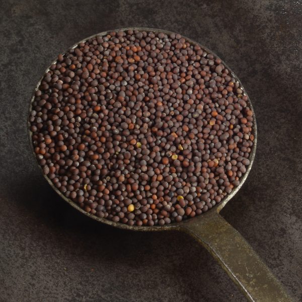 Mustard seeds black bio 80g