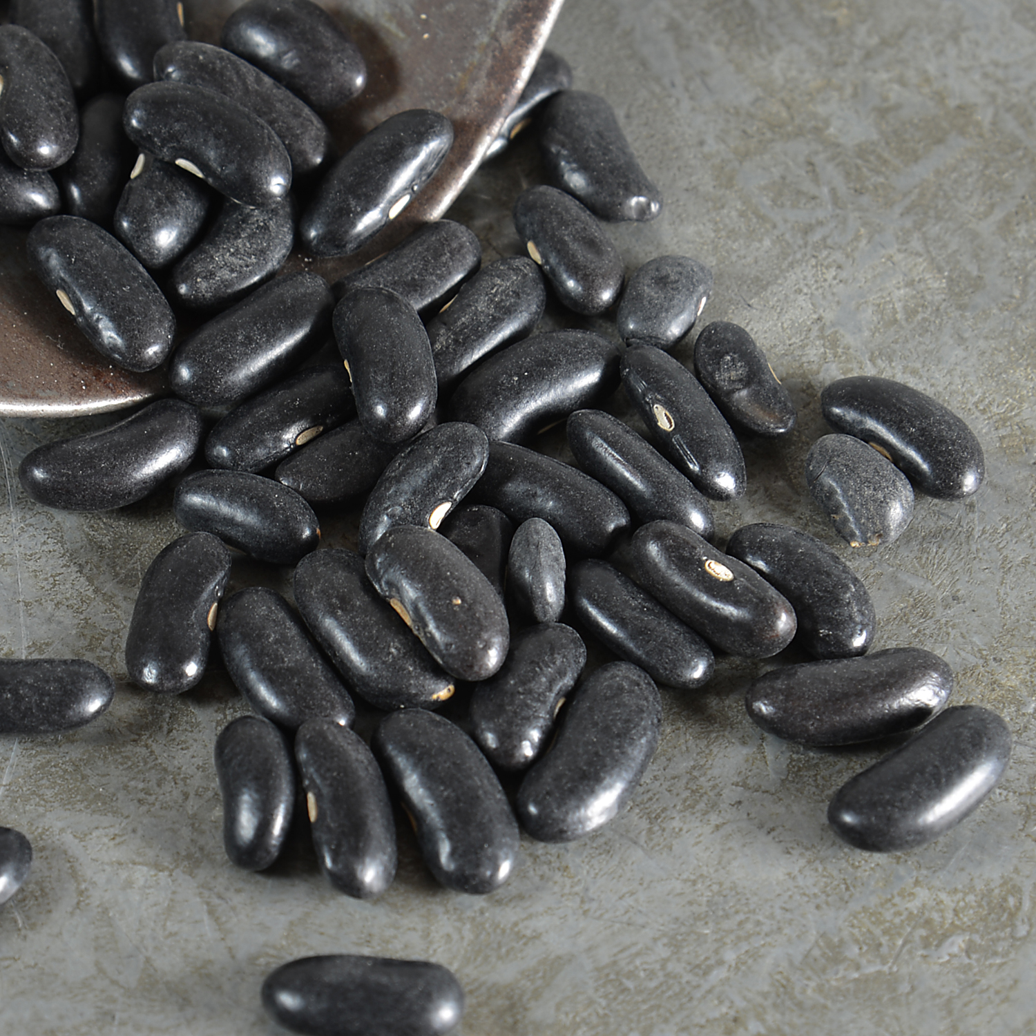 Schwarze Bohnen Argentinien 400g - schwarzenbach.ch Schwarze Bohnen Argentinien 400g - schwarzenbach.ch