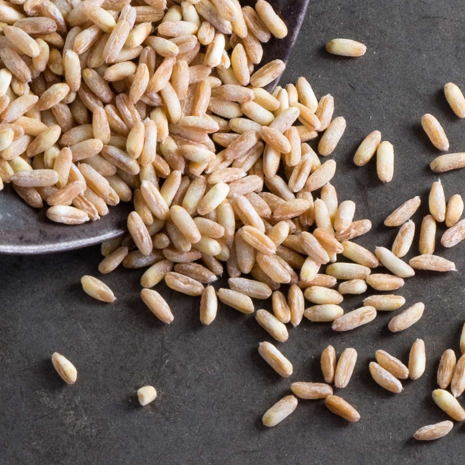 UrDinkel Kernotto bio 500g