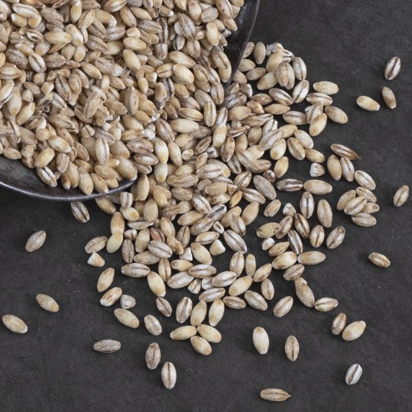 Rolled barley coarse Albulatal bio, 500g