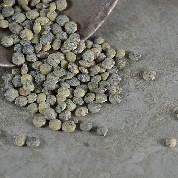 Lentils green, Switzerland bio 400g