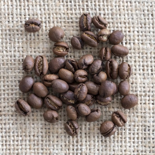 Coffee Brasil Camocim Moka Pearl bio