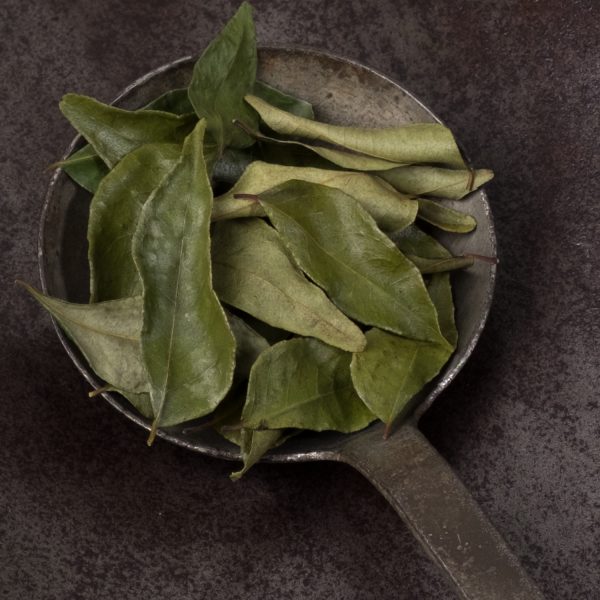 Curryblätter Madagaskar 12g
