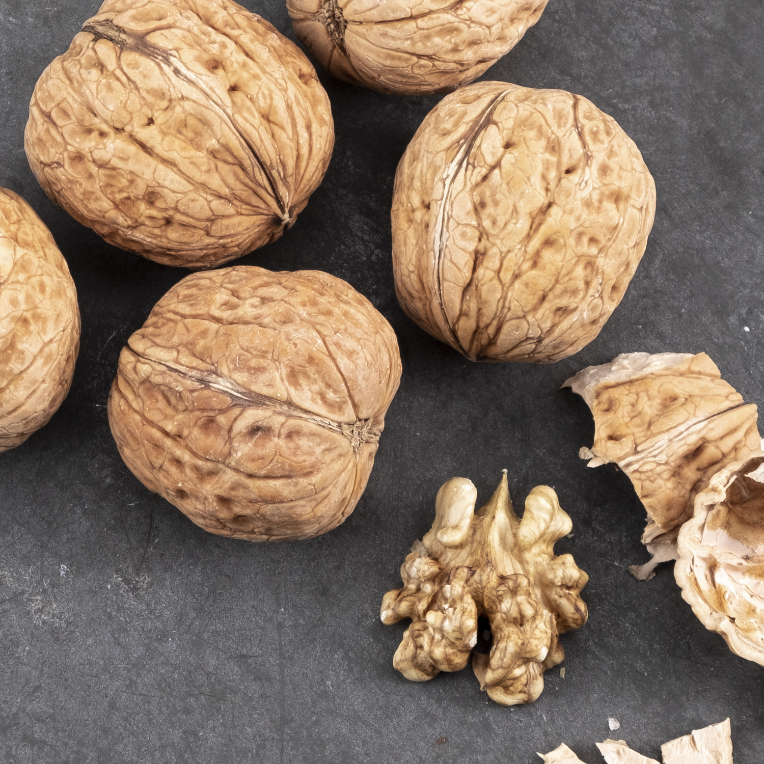 Baumnüsse Schweiz "Lara"