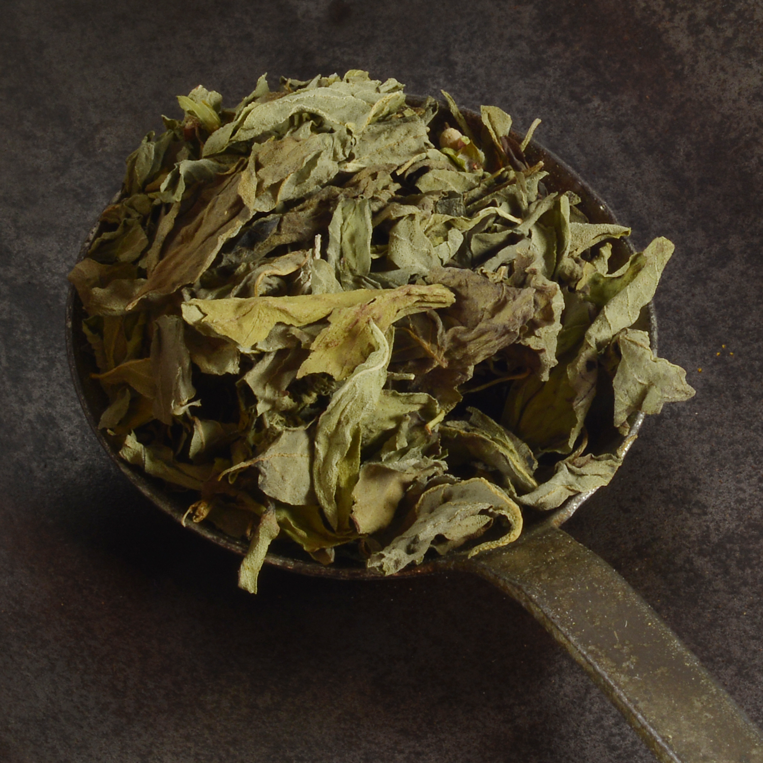 Basil Sardinia organic 6g