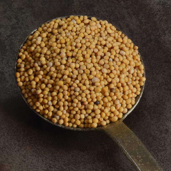 Mustard seeds yellow bio 90g