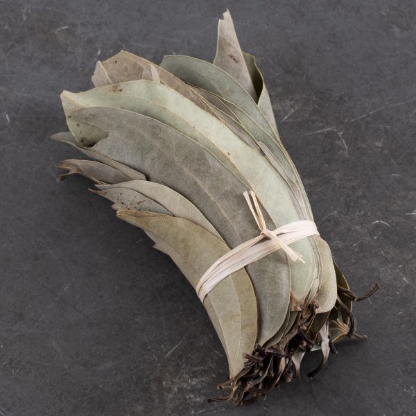 Zimtblätter Madagaskar Bund ca. 20g