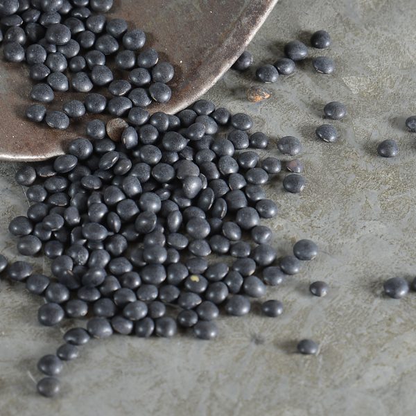 Lentils Beluga, Switzerland bio 400g