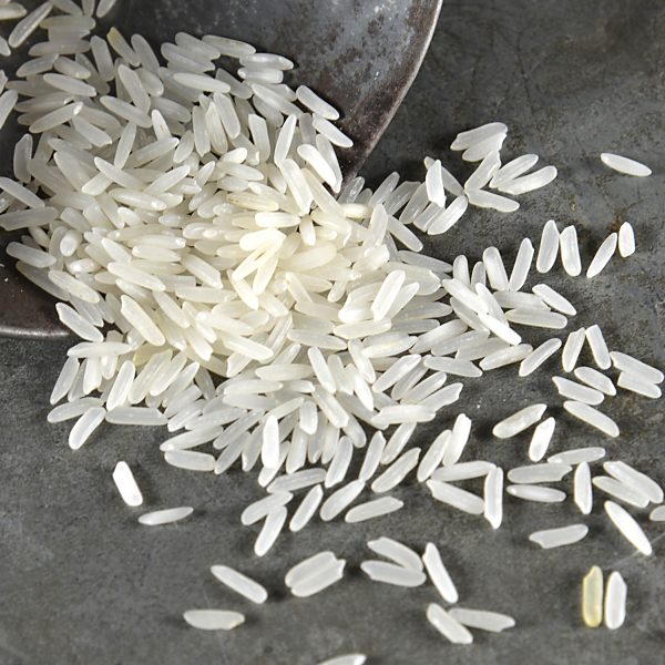 Jasmine rice