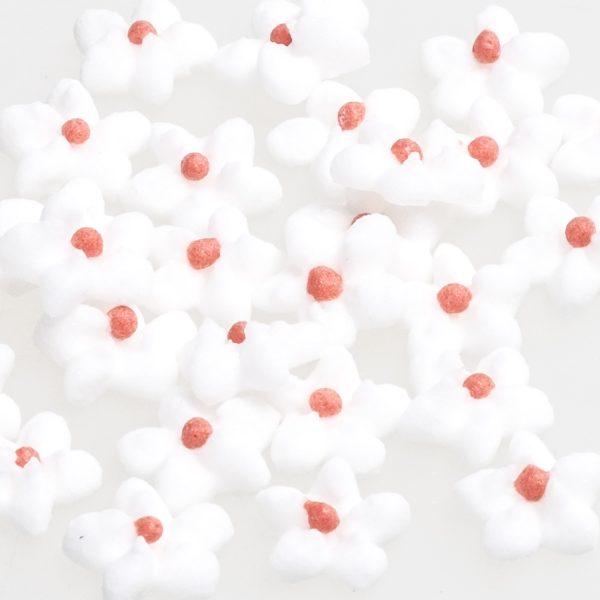 Forget-me-not white 10mm 30 pcs.