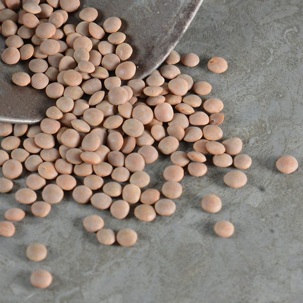 Lentils small brown, Switzerland organic 400g