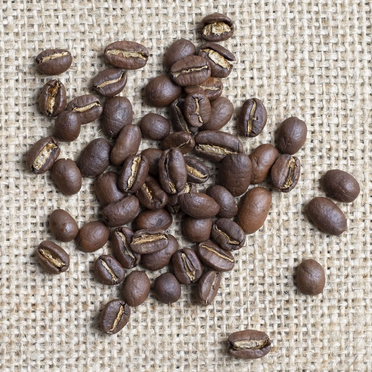 Coffee Ethiopia Sidamo Aida