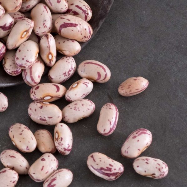 Borlotti beans, Italy 400g