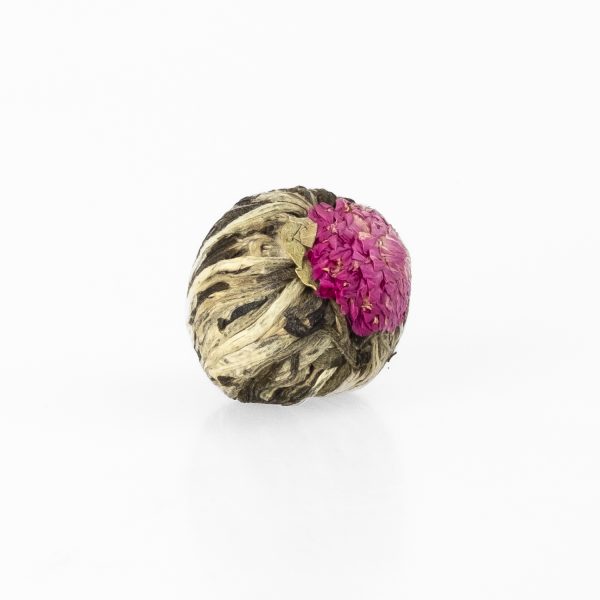 China Jasmine Tea Rose "Yu Long Tao", 1 piece - Image 2