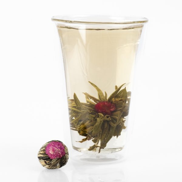 China Jasmine Tea Rose "Yu Long Tao", 1 piece