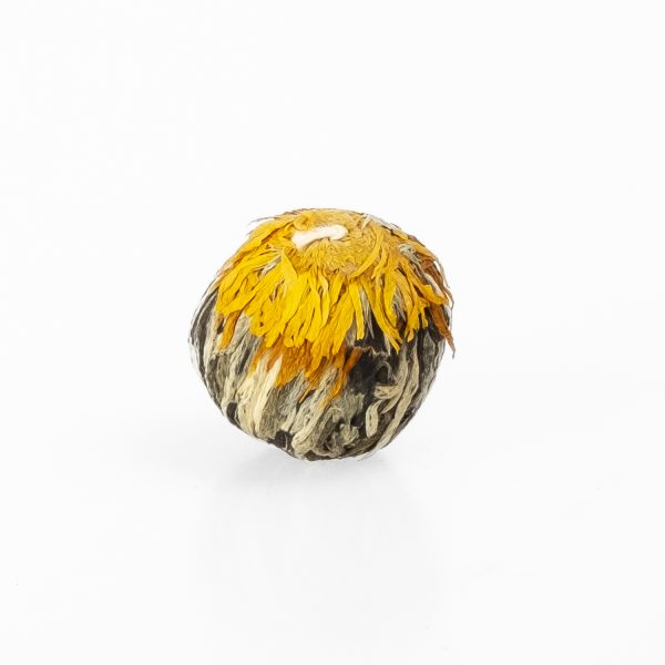 China Tea Rose "Chrysantheme", 1 piece - Image 2
