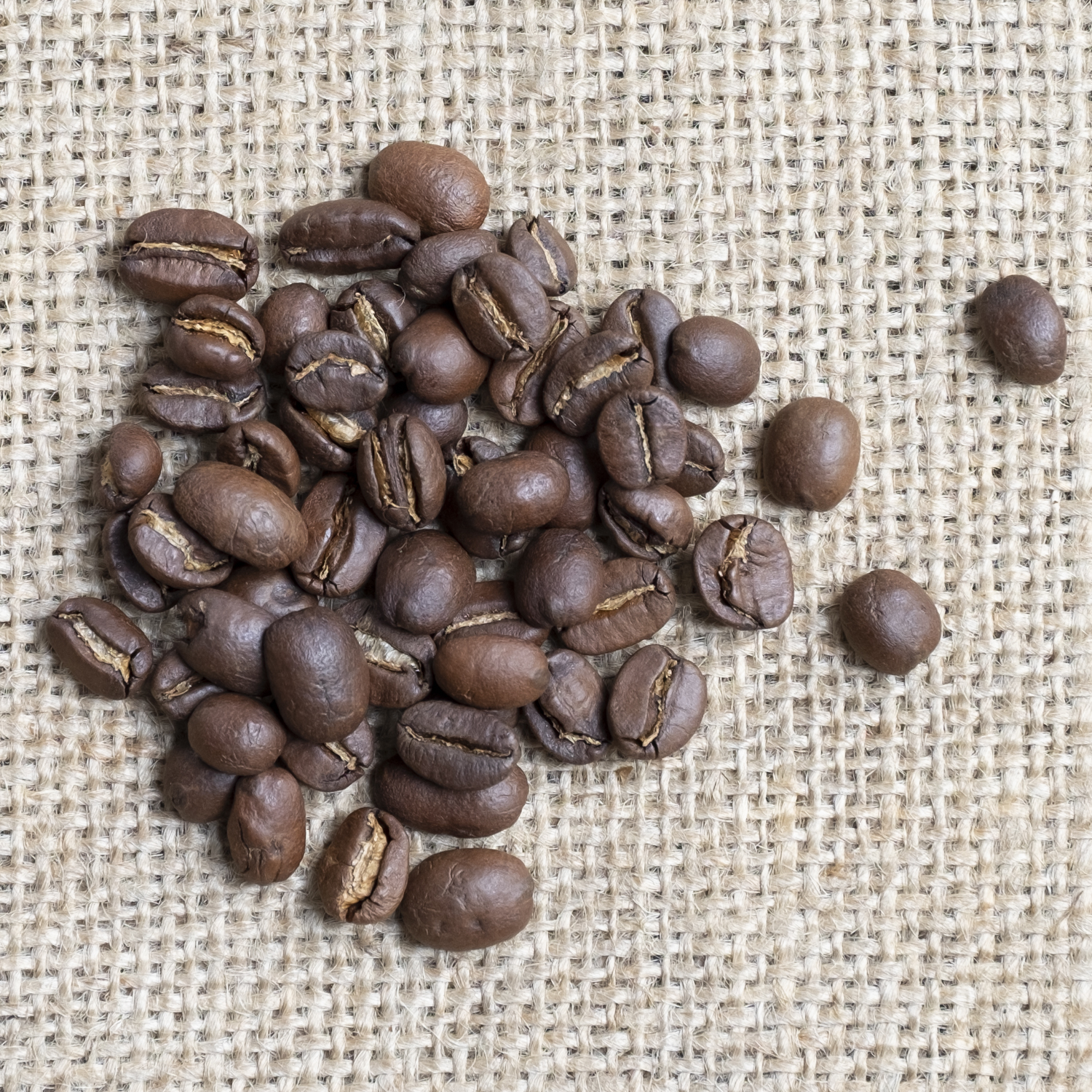 Kaffee Papua New Guinea Okapa Grade A