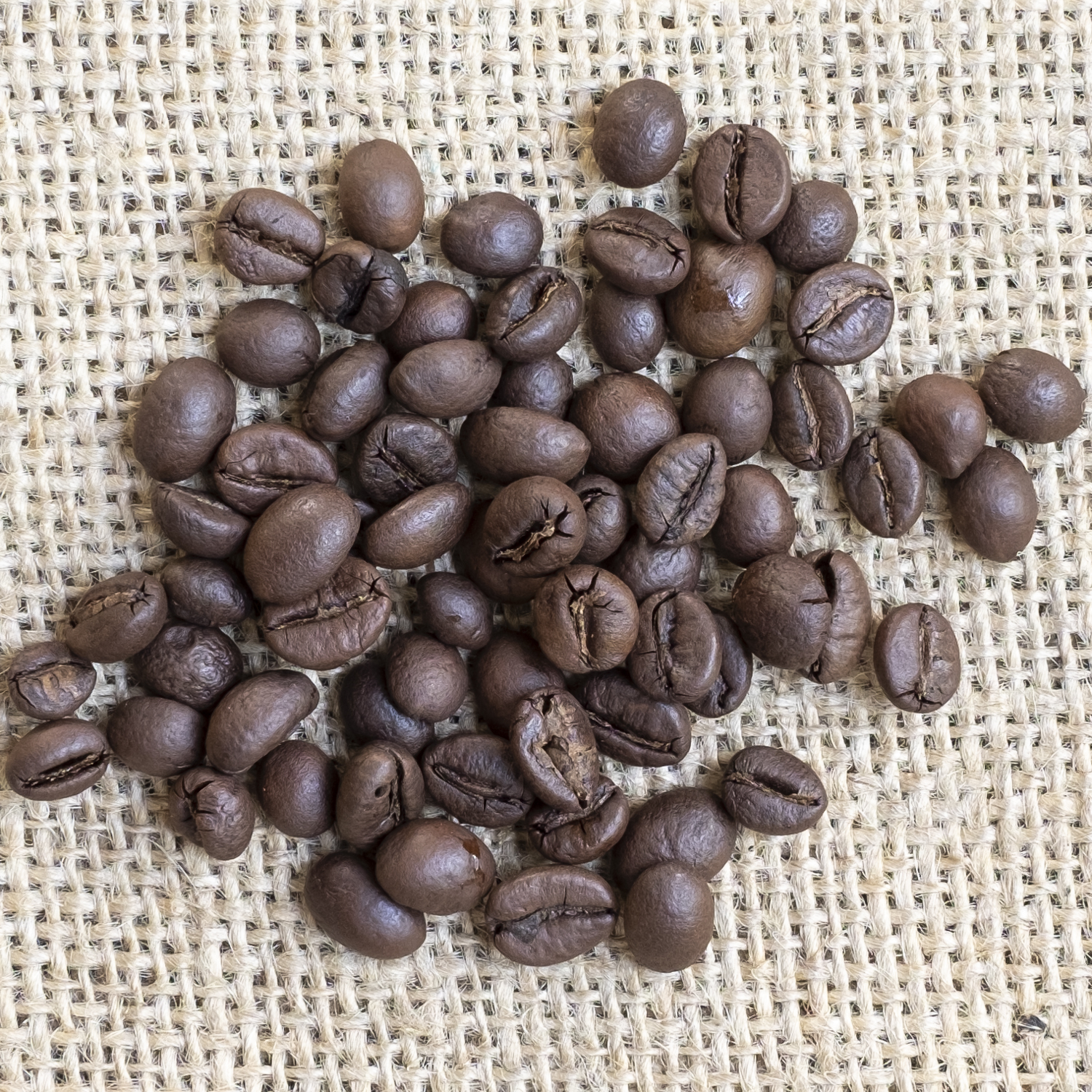 Kaffee India Tribal Parchment Robusta bio
