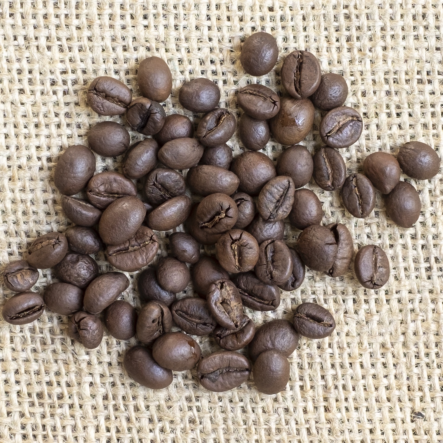 Kaffee India Tribal Parchment Robusta bio