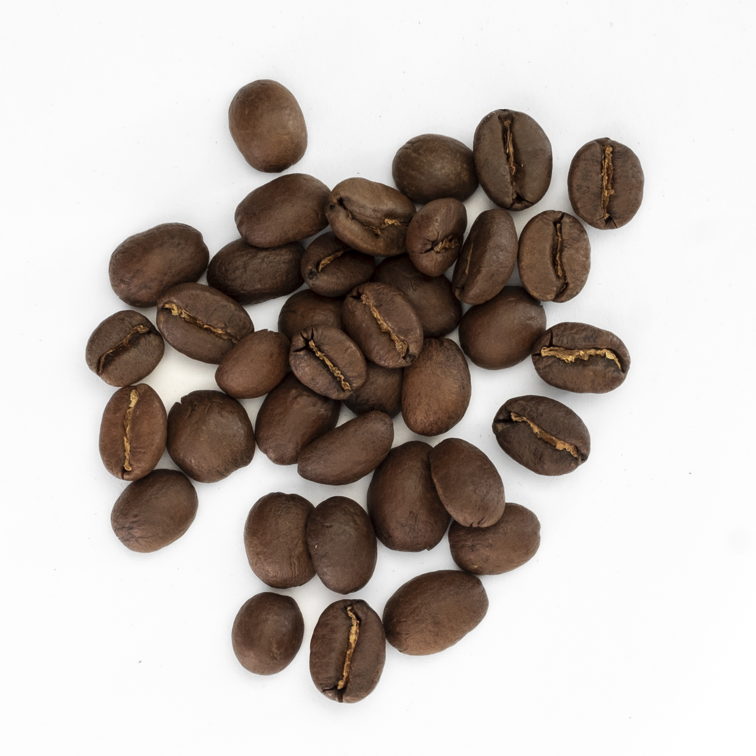 Kaffee Colombia Hacienda el Rodeo